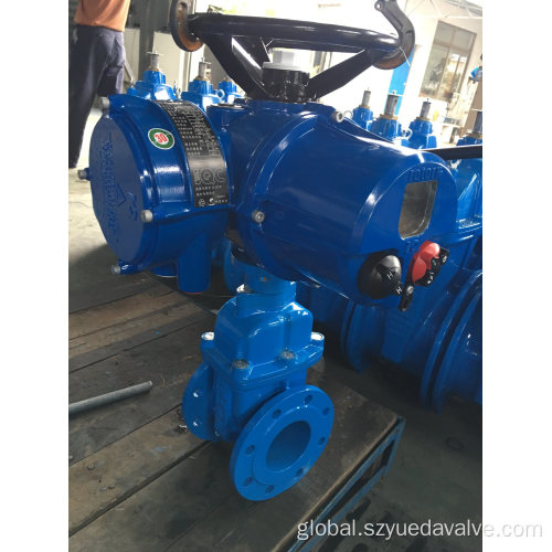 Resilient Seated Gate Valve Electric Gate Valve DIN/BS Double Flange Non-Rising Stem Factory